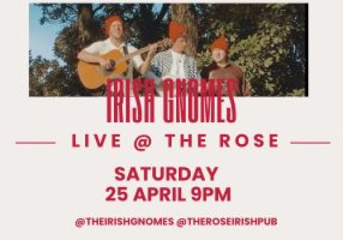 The irish Gnomes - Saturday 25 April 9pm. 